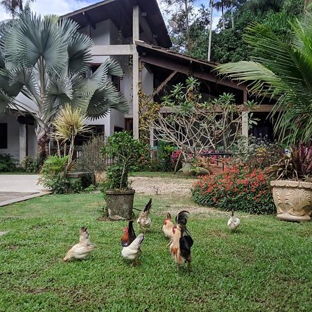 Casa Na Floresta Appartement Penedo  Buitenkant foto