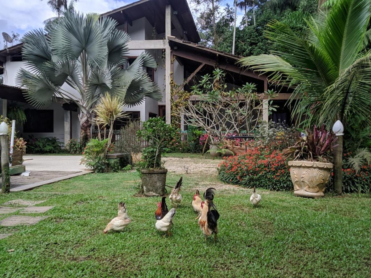 Casa Na Floresta Appartement Penedo  Buitenkant foto